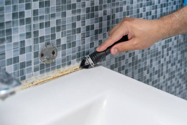 Best Residential Mold Remediation in Galesville, MD
